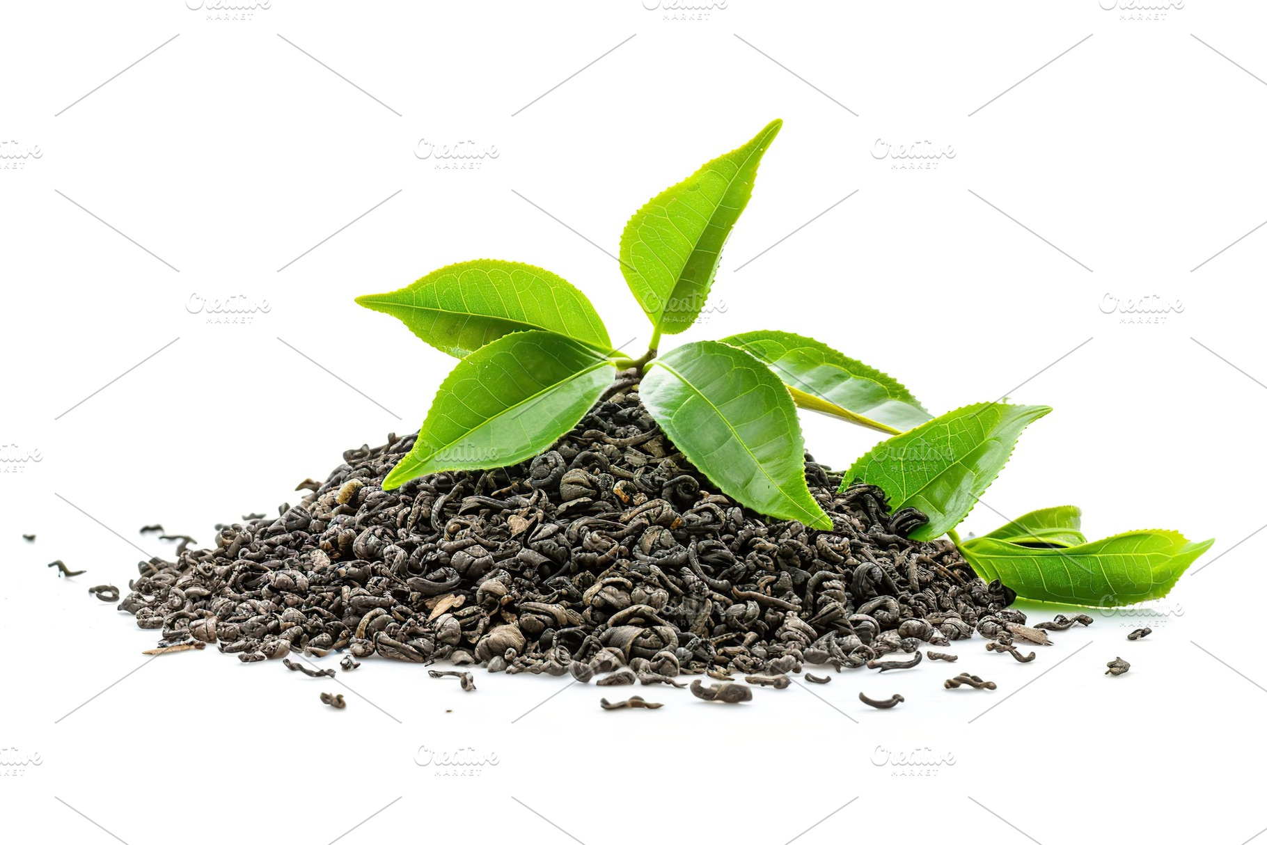 Dry tea leaves and fresh green tea leafs isolated on white background, a Food & Drink Photo by AlyaAnd
