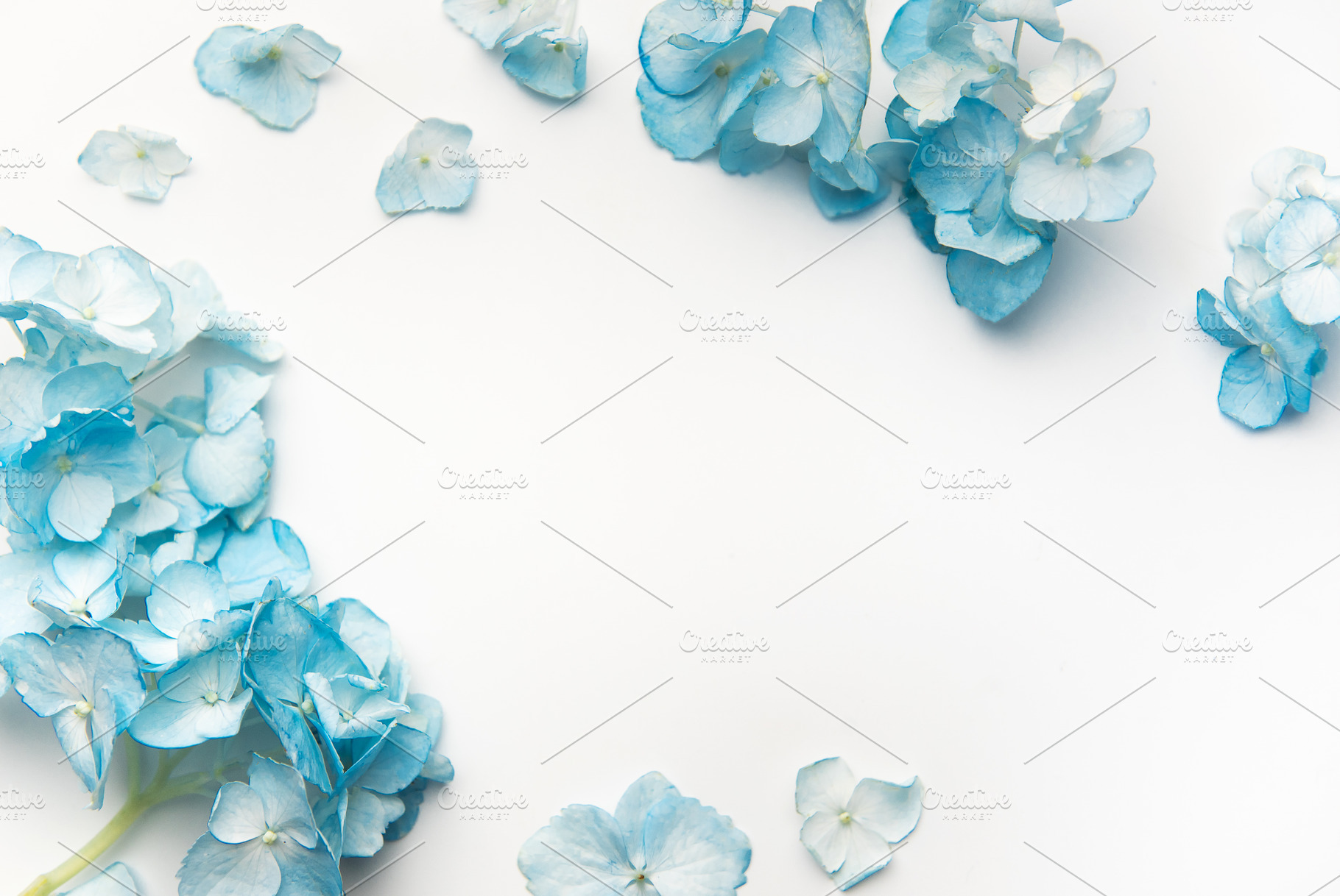 Blue hydrangea petals creating a natural floral frame, a Nature Photo by Olena Rudo
