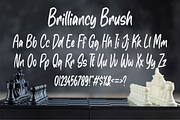 Brilliancy Brush, a Handwritten Font by NJ Studio (Thumbnail 7 of 8)