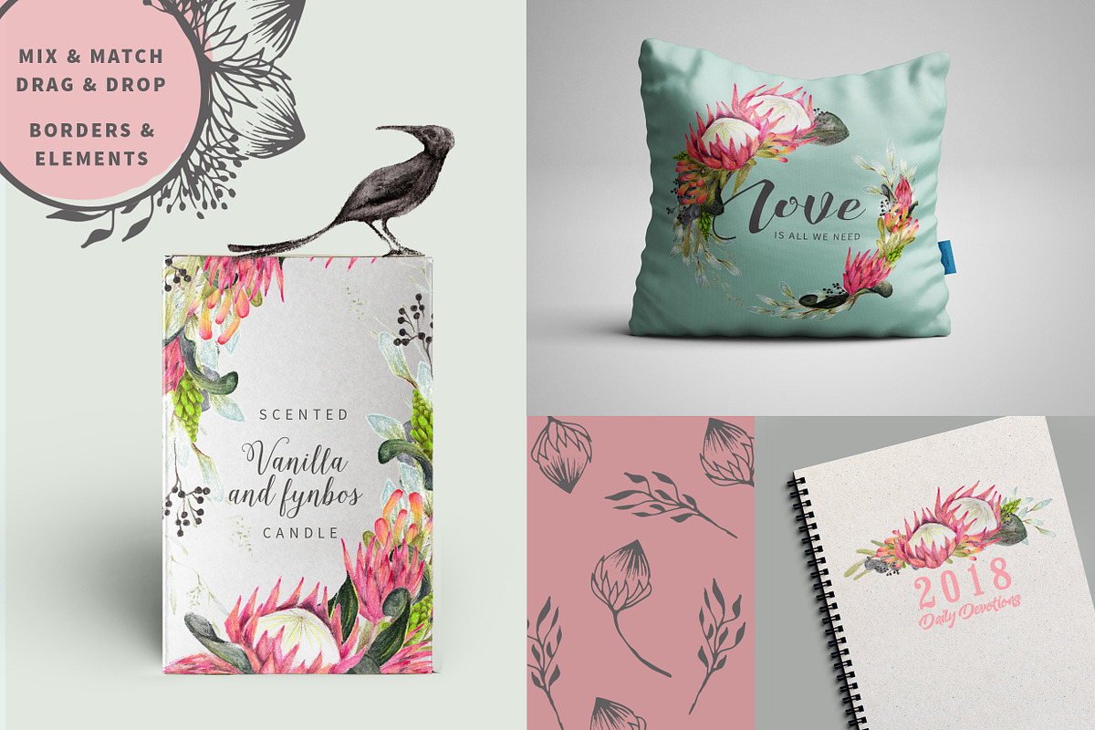 WATERCOLOR Protea Logo & Card Kit, an Illustration by Ingrid Marais Design (Photo 3 of 5)