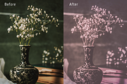 12 Ultra Matte Lightroom Presets, a Preset Add-On by RamsaGraphi (Thumbnail 10 of 10)
