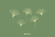 De Ginkgo, a Serif Font by Emyself Design (Thumbnail 14 of 16)