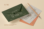 Bemine, a Serif Font by Burntilldead (Thumbnail 9 of 12)