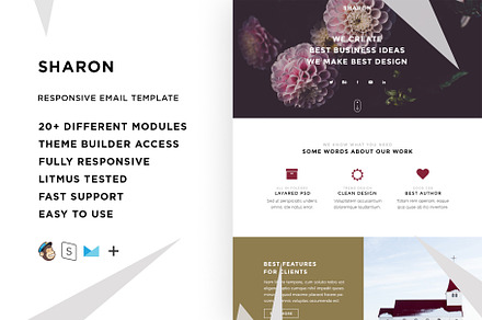 Sharon – Responsive Email template, an Email Template by ThemesCode