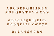 Ripano Retro Serif Font, a Serif Font by Creative Foundry (Thumbnail 9 of 10)