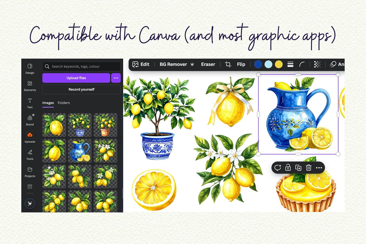 Mediterranean Lemon Clipart, an Object Graphic by Anna Design Studio (Photo 8 of 9)