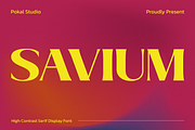 Savium - High Contrast Serif Font, a Serif Font by Pokal Studio (Thumbnail 1 of 12)