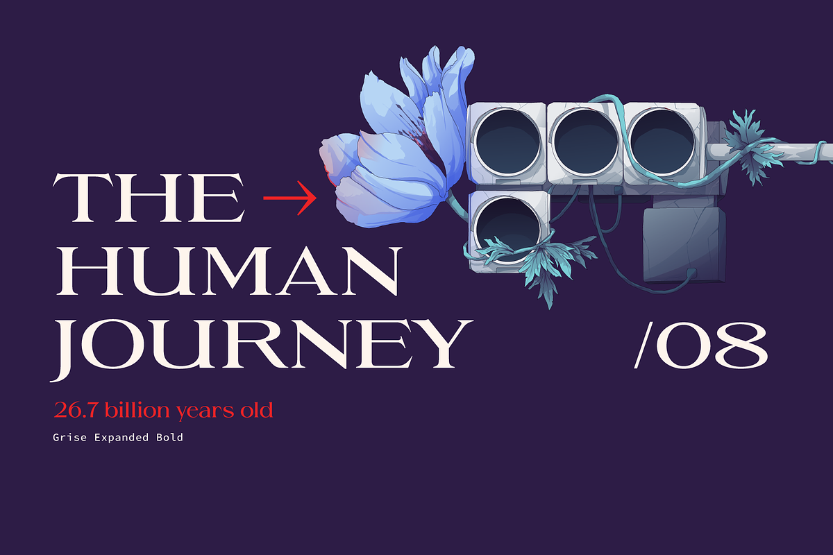 Grise - Variable Serif (18 Fonts), a Serif Font by VectorKiss GraphicsSupply (Photo 15 of 18)