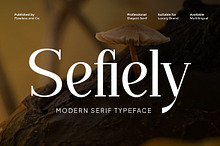 Sefiely - Modern Serif Font