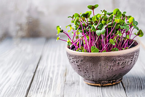 Fresh purple radish microgreen in bowl on wooden table, a Food & Drink Photo by AlyaAnd