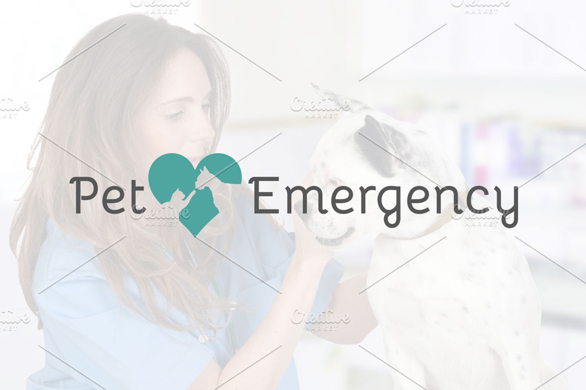 Veterinary Logo Pack Creator, a Branding & Logo Template by Luis Quesada Design (Photo 3 of 5)