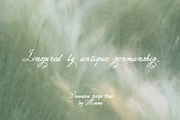 North Elm - Decorative Script Font, a Script Font by Mneme (Thumbnail 8 of 8)