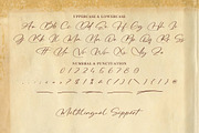 Hogestory - Stylish Signature, a Script Font by Graha Type (Thumbnail 10 of 12)