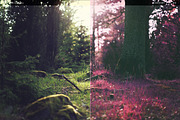 Cherry Fields Action, an Action Add-On by beto (Thumbnail 2 of 5)