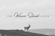 Welinedion, a Script Font by Aantebas (Thumbnail 3 of 5)