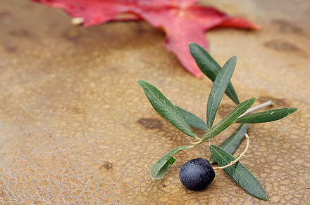 Olive containing autumnal, autumn, and organic