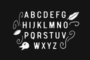 Amazing Mega Font Bundle, a Sans Serif Font by Alberto Fontense (Thumbnail 8 of 14)