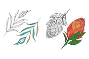 Detailed tropical leaves & Patterns, a Decorative Illustration by NKTKNS (Thumbnail 4 of 5)