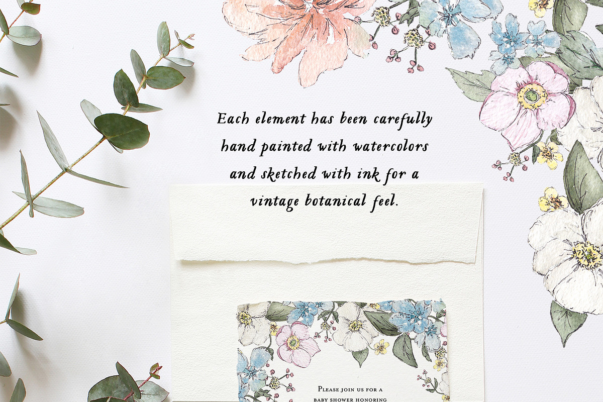 Botanical Watercolor Collection, an Illustration by Emerald & Ivy Studios (Photo 2 of 12)