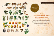 BUNDLE: 600 Academia Ephemera, an Object Graphic by The Object Atlas (Thumbnail 15 of 16)