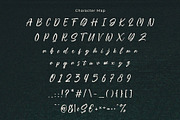 Selindia – Elegant Script Font, a Handwritten Font by BrandSemut (Thumbnail 9 of 11)