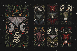 Mystical Forest. Graphic Ollection