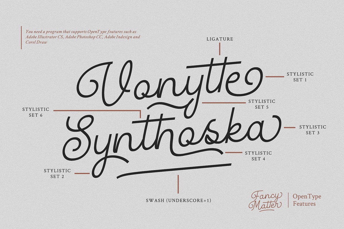 Fancy Matter, a Script Font by din-studio.com (Photo 8 of 10)