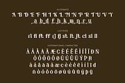 Demerique - Serif Typeface Font, a Serif Font by Rishsketch (Thumbnail 14 of 15)
