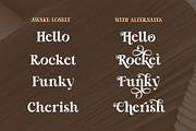 Awake Lonely - Swirl Serif Font, a Serif Font by Airotype (Thumbnail 2 of 14)