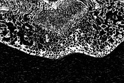 Lilliputian, a Texture Graphic by Jennifer Lauren Creative (Thumbnail 7 of 28)