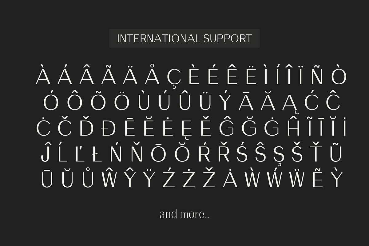 Etheline - A classy Grotesque Sans preview 5