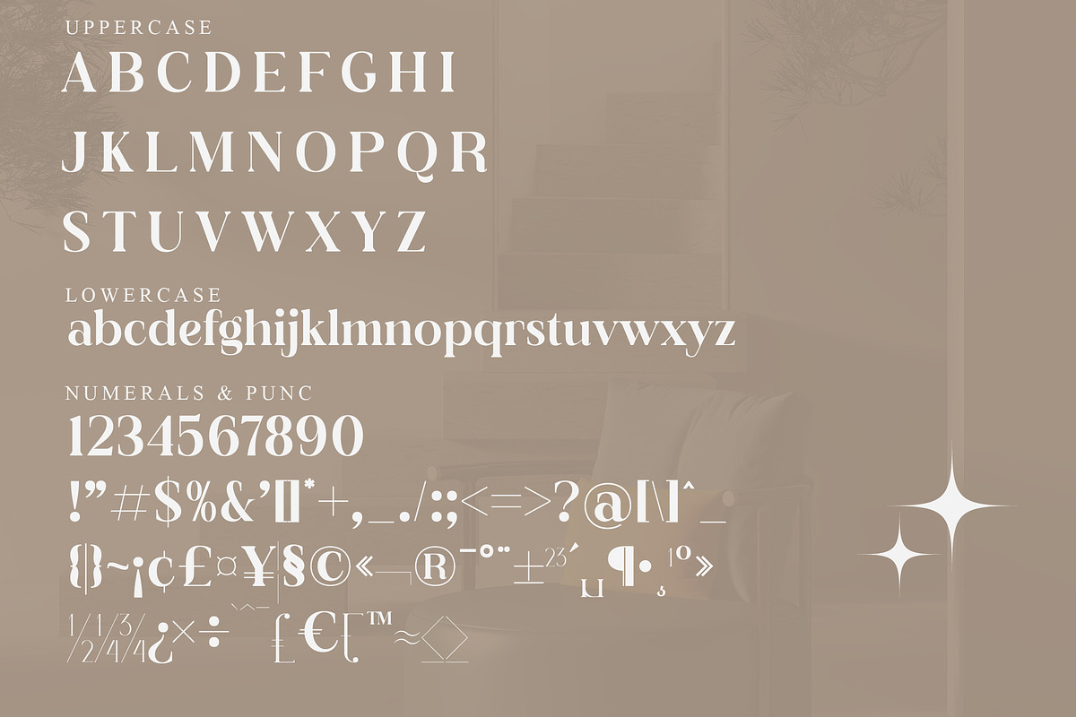 Dalime Stylish Modern Serif Font, a Serif Font by Storytype Studio (Photo 13 of 15)
