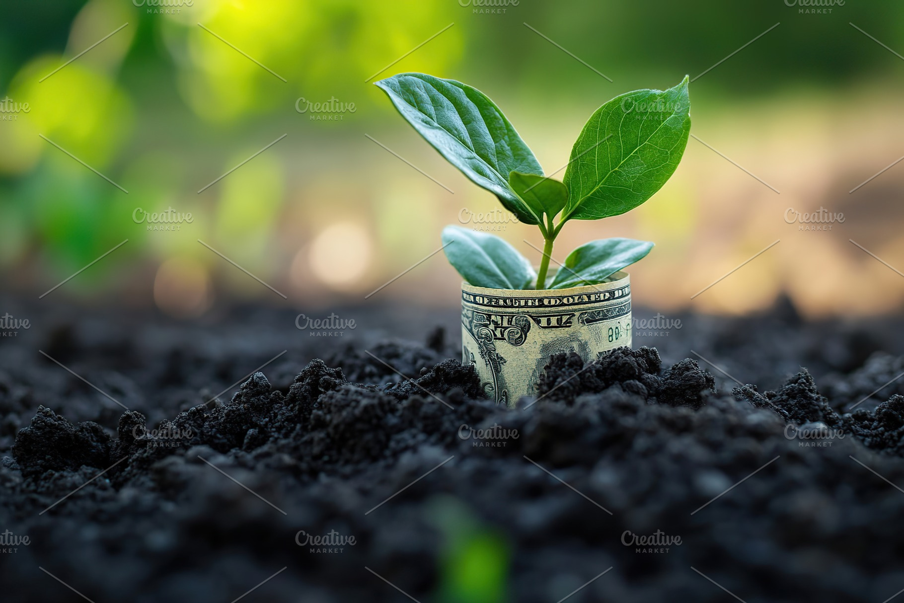 Green seedlings are growing on dollar banknote, a Nature Photo by AlyaAnd