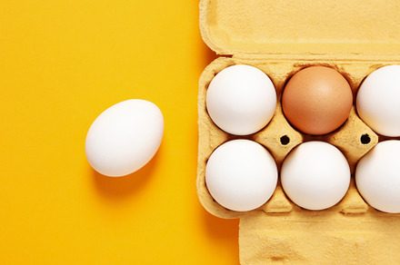 Egg box with eggs on orange background, top view, a Food & Drink Photo by AtlasStudio PRO