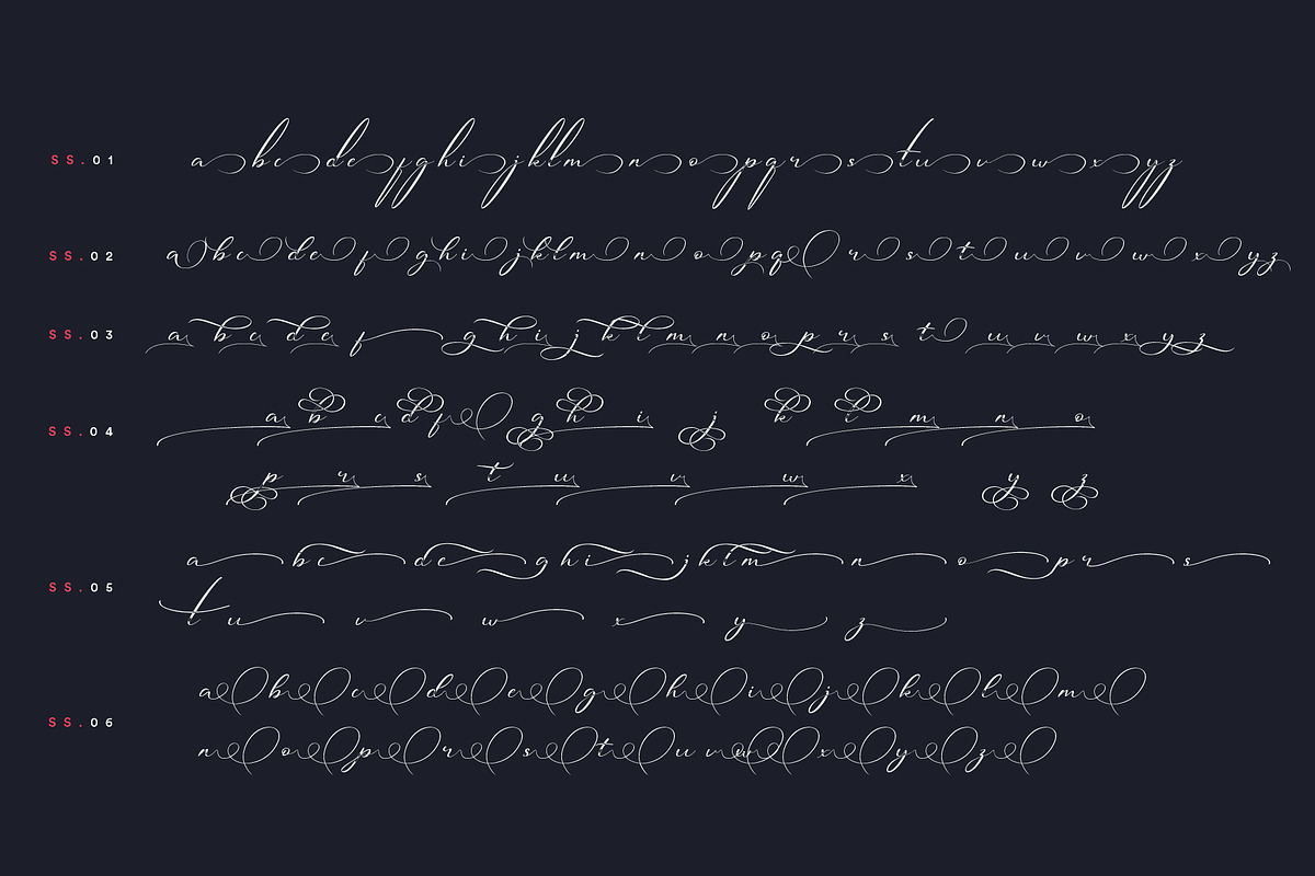 Michand Script | Classy Calligraphy, a Script Font by StoricType (Photo 4 of 16)