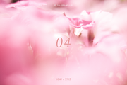 10 NATURAL BACKGROUNDS, a Background Photo by Valeriia Miller (Thumbnail 5 of 11)