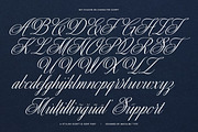 MIT Exileon - Script&Serif font duo, a Serif Font by Maculinc Type (Thumbnail 16 of 16)