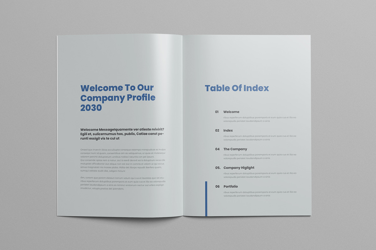 Company Profile Brochure preview 2