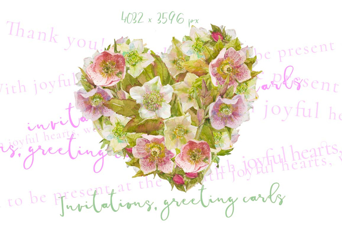 Hearts-watercolor-Hellebore, an Illustration by watercolorwild.graphics (Photo 5 of 19)
