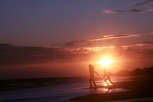 Beach Freedom