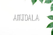 Amidala Script Font, a Script Font by Creativetacos (Thumbnail 1 of 5)