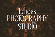Ajessira – Modern Elegant Ligature, a Serif Font by Qweera Studio (Thumbnail 8 of 12)