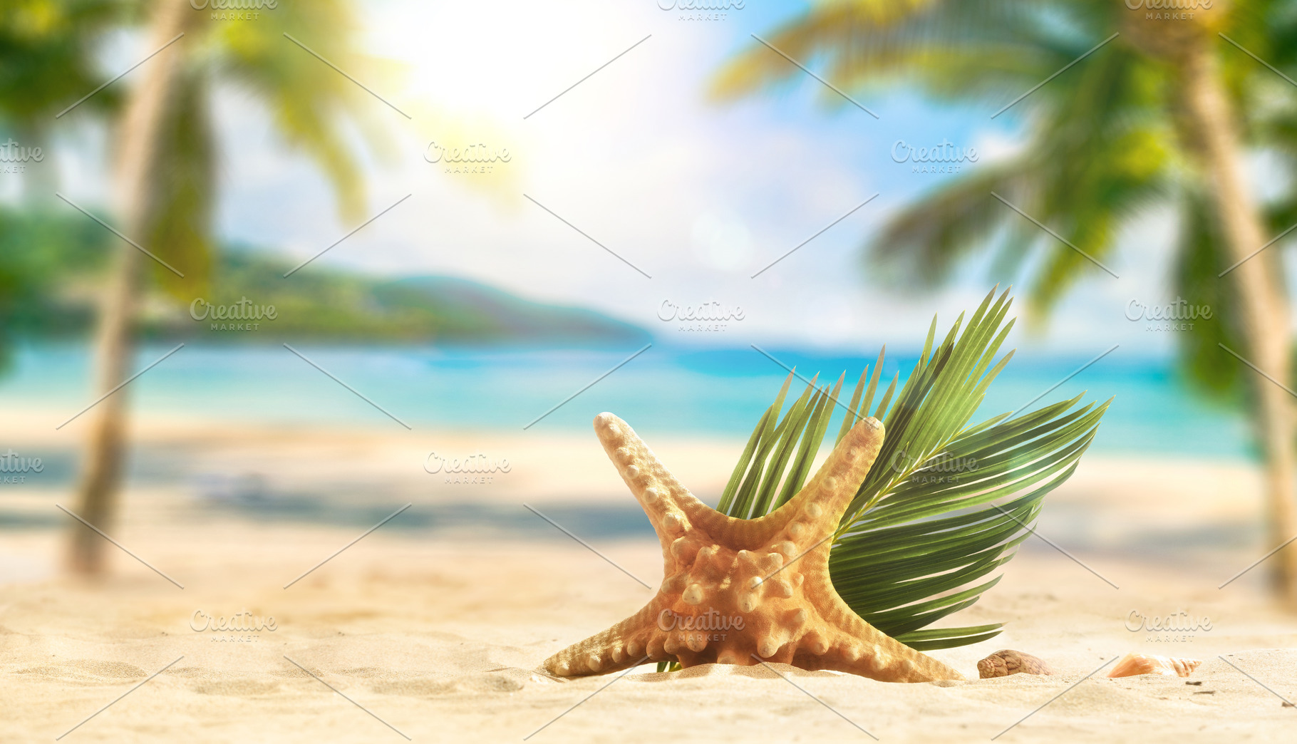 Starfish and Palm Leaf on Tropical Beach, a Holiday Photo by Davizro's Market