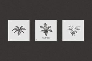 Hand Drawn Palm Tree Logotypes