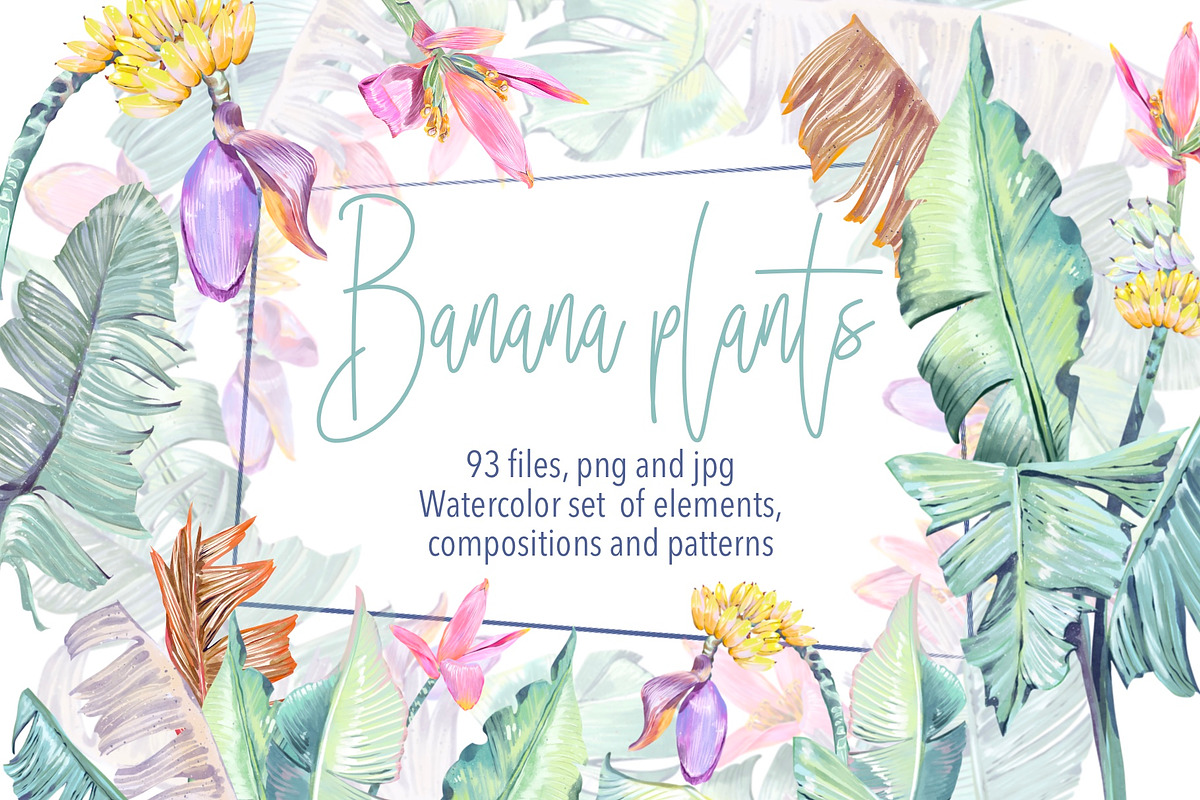 Banana blossom plants Watercolor set, an Illustration by Shabbypie (Photo 1 of 13)
