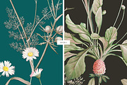 Meadow Bounty Botanical Prints, a Pattern Graphic by LEAFure (Thumbnail 7 of 8)