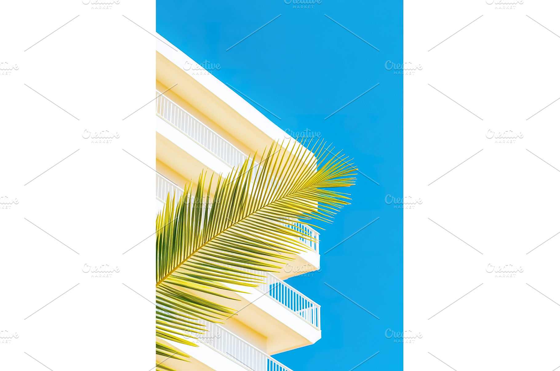 Palm frond contrasts with a modern, an Architecture Photo by Lermont51