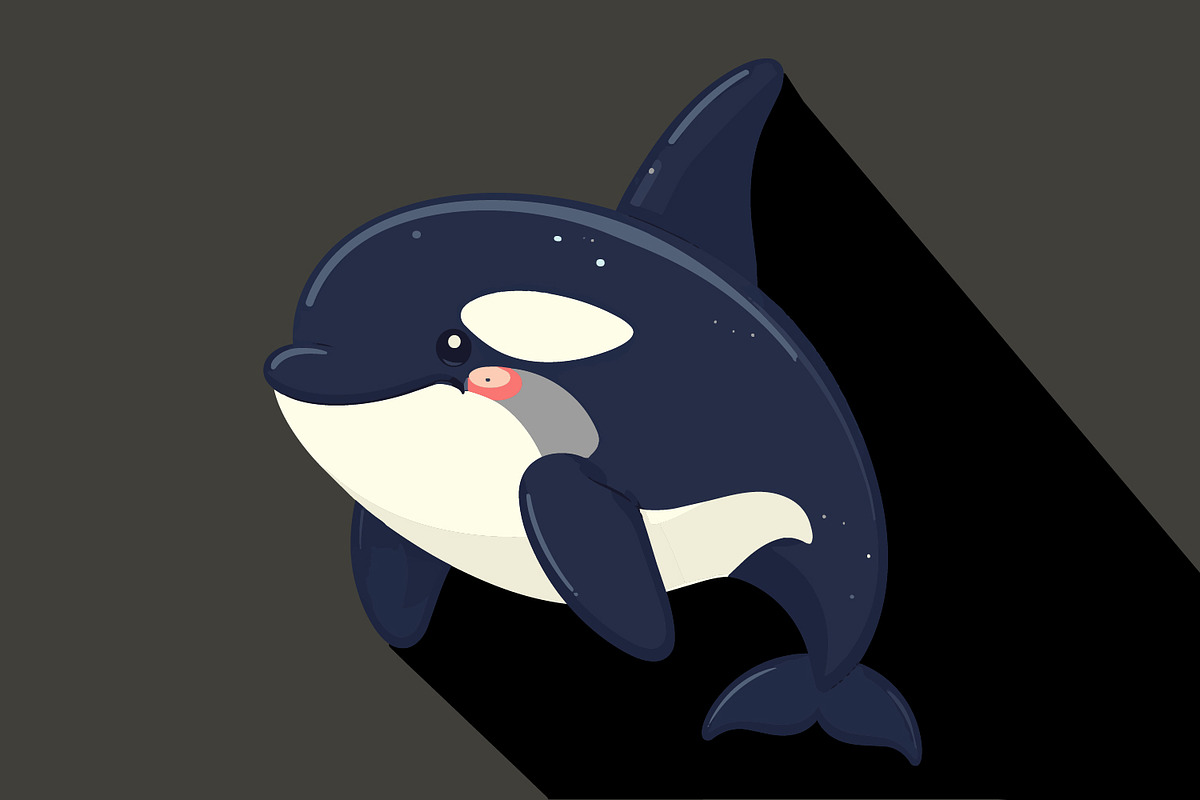 Cute orca illustration in flat, an Animal Illustration by Pray Art Design Studio (Photo 2 of 3)