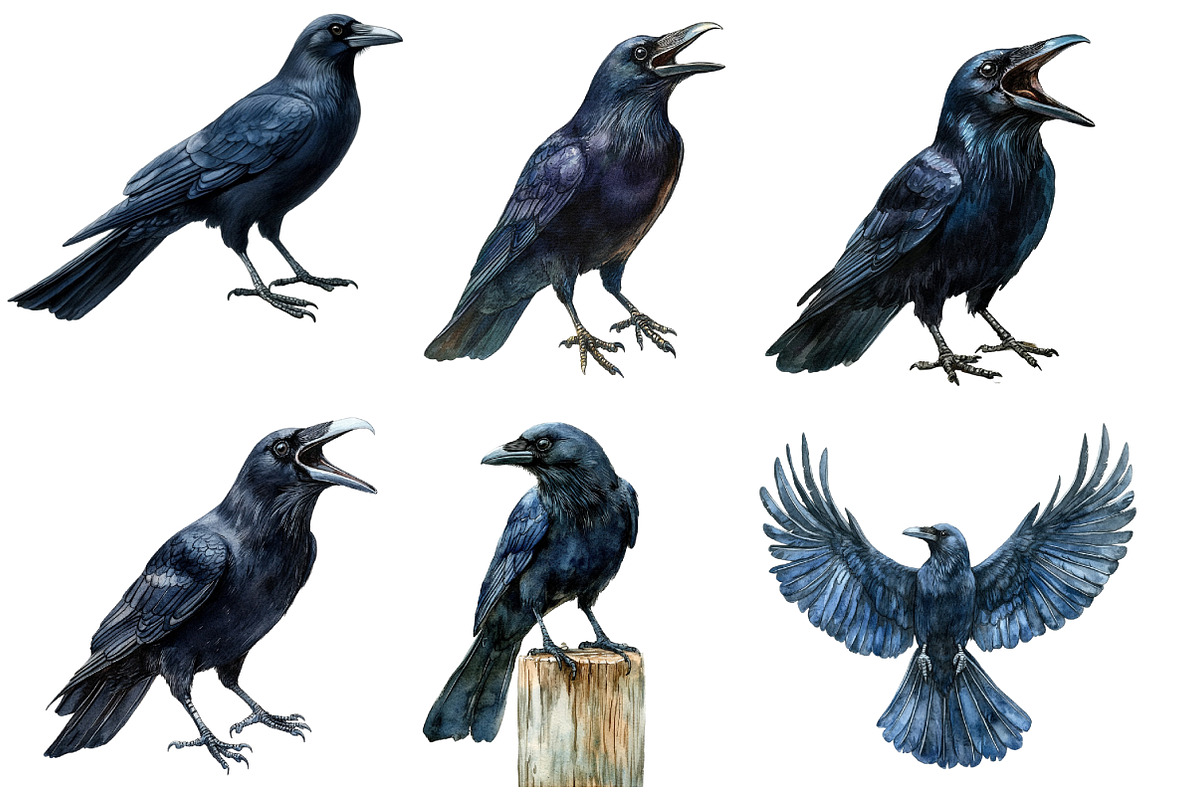 Vintage Ravens and Crows Clipart, an Illustration by Designworld (Photo 3 of 6)