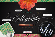 Amelia Script - Fine version, a Script Font by Blessed Print (Thumbnail 4 of 18)